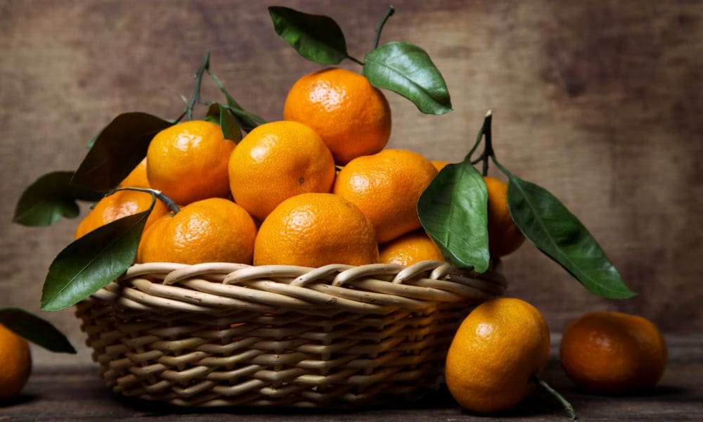 甜到心里的砂糖橘如何挑选 砂糖橘种植技术