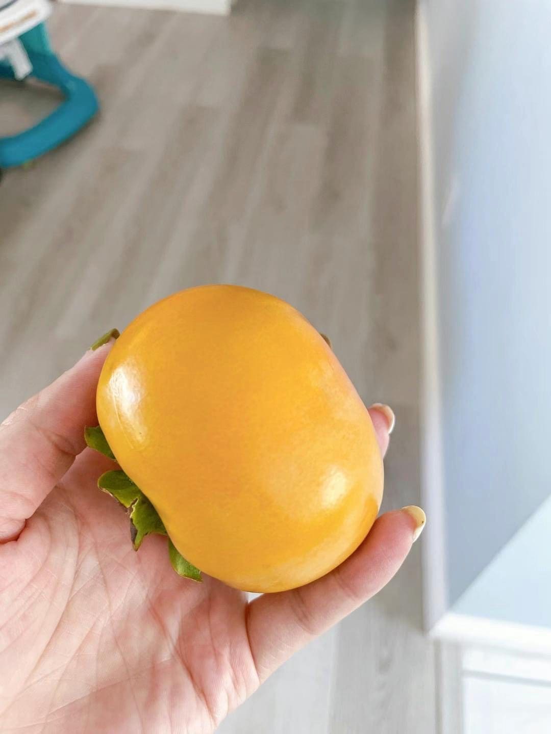 日本脆柿 冬季预购2024年1月LA 柔似蜜自取 91770