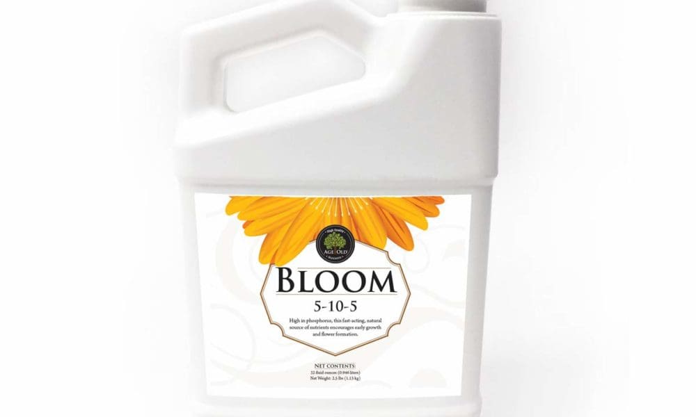 Age Old Bloom (5-10-5)