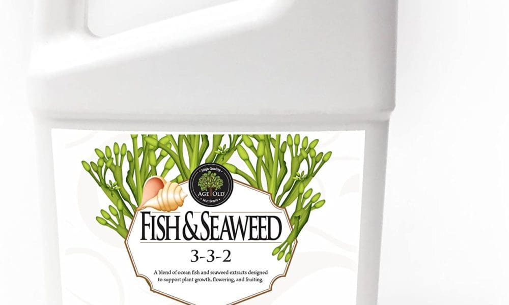 Age Old Fish and Seaweed Liquid Fertilizer, 32-ounce Bottle
