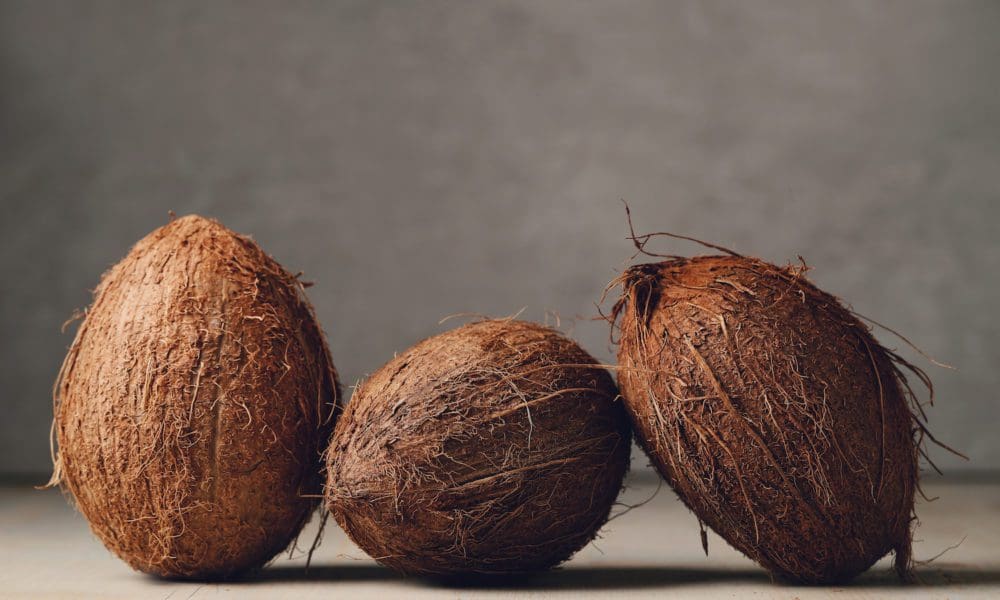 怎么开椰子？椰子肉有什么功效？椰子种植技术