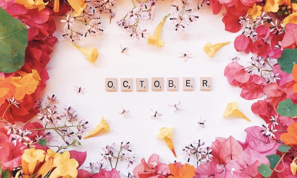2024年10月节日及活动月（每年更新）