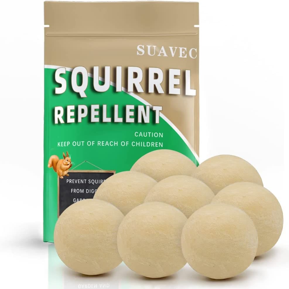 松鼠防治法 - 让松鼠不再成为后院的祸害