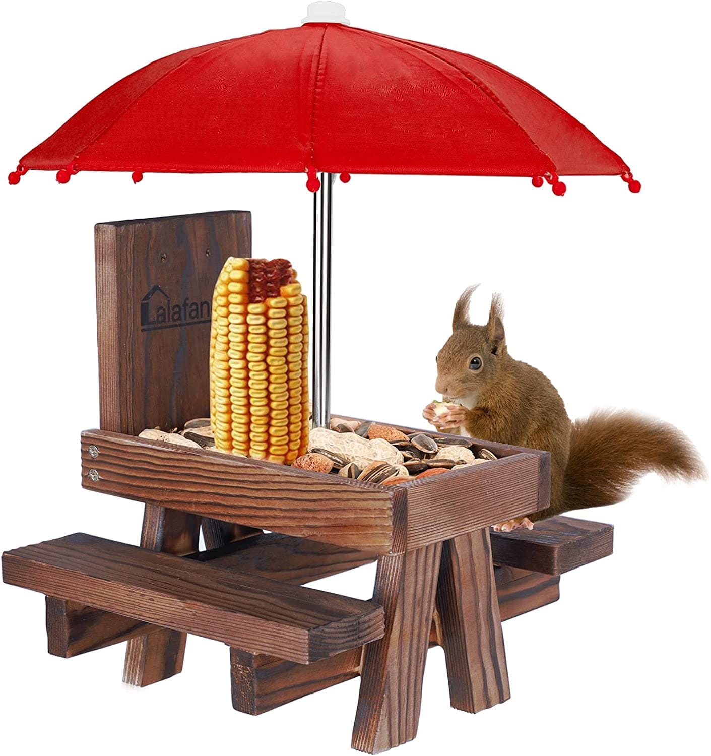 松鼠防治法 - 让松鼠不再成为后院的祸害