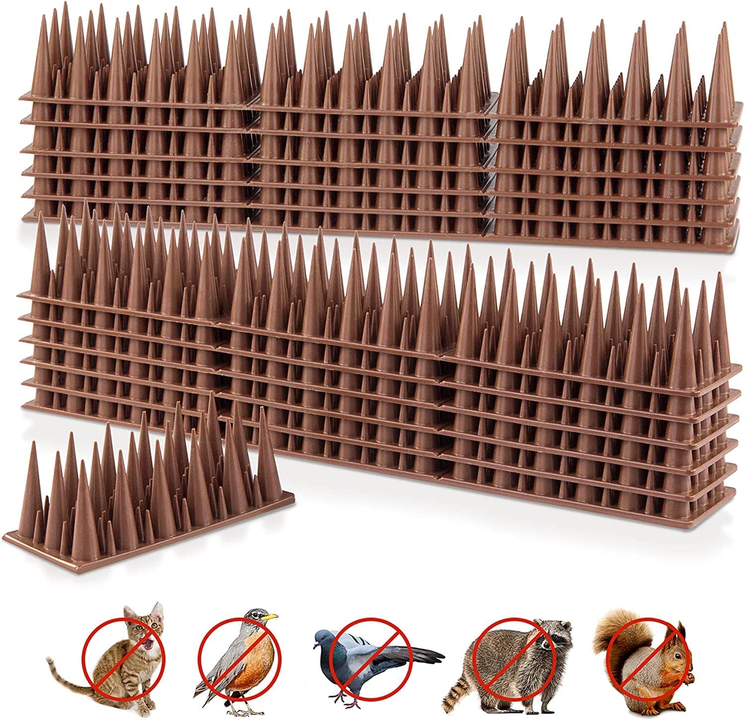 松鼠防治法 - 让松鼠不再成为后院的祸害