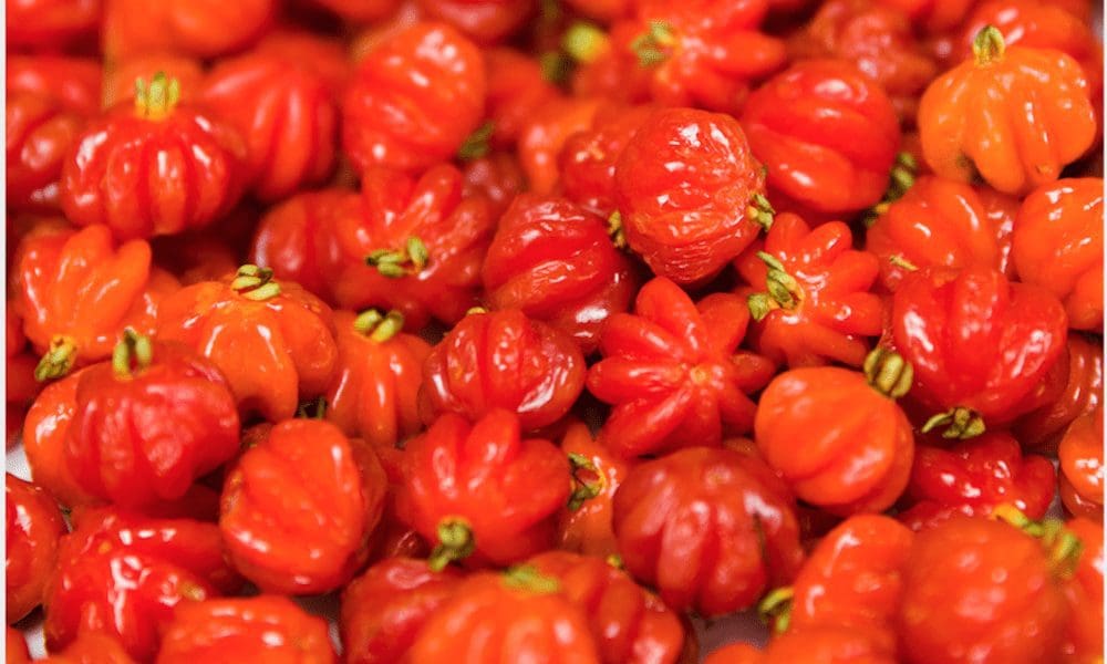 可以助眠的奇特水果-苏里南苦樱桃