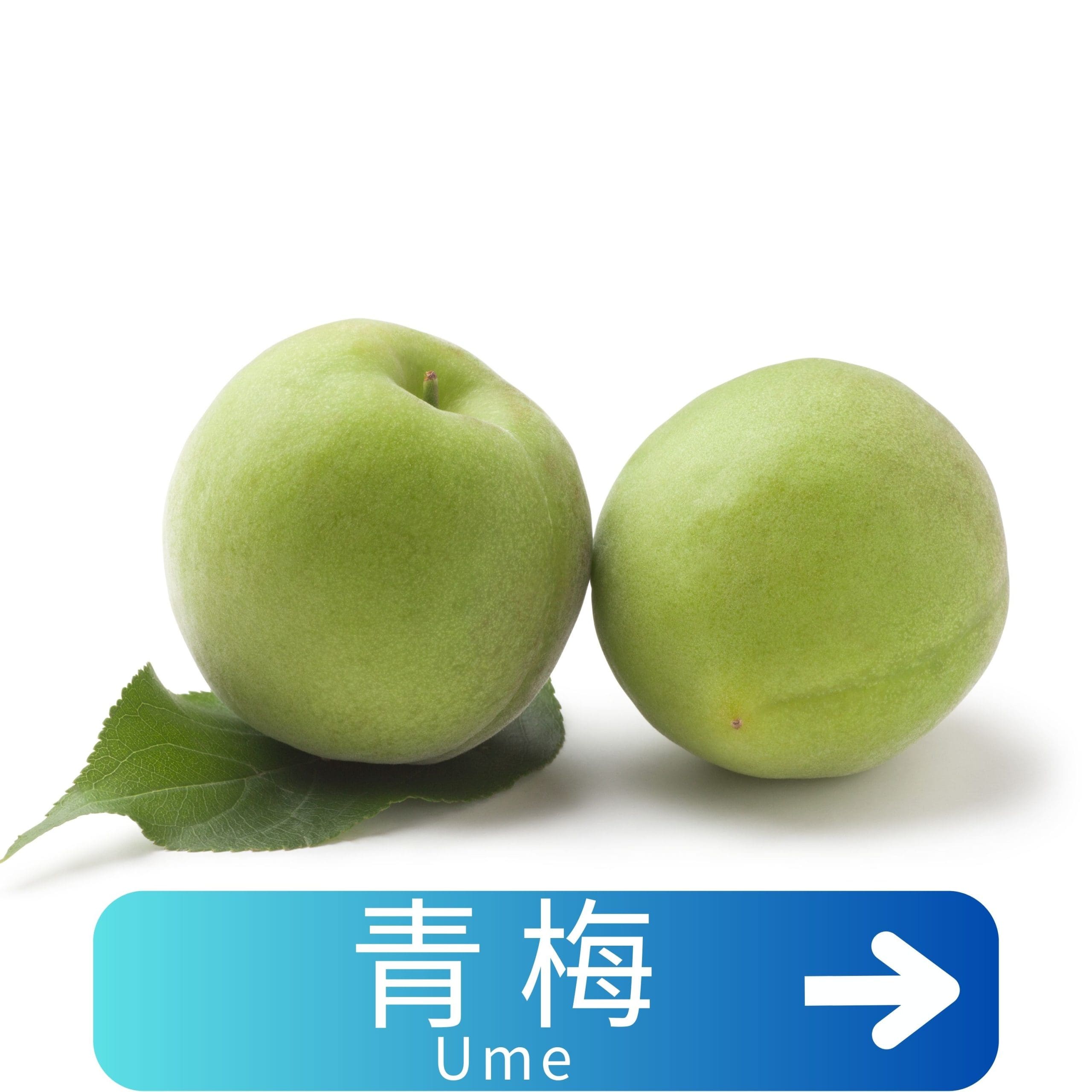 青梅Ume