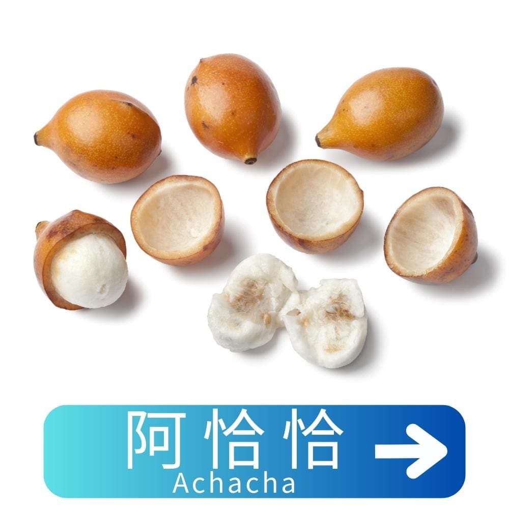 阿恰恰Achacha