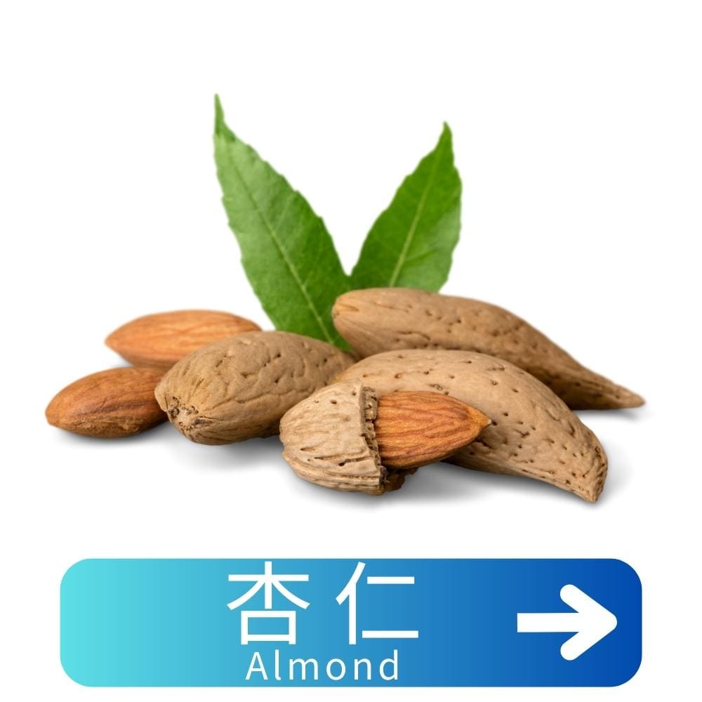 杏仁Almond