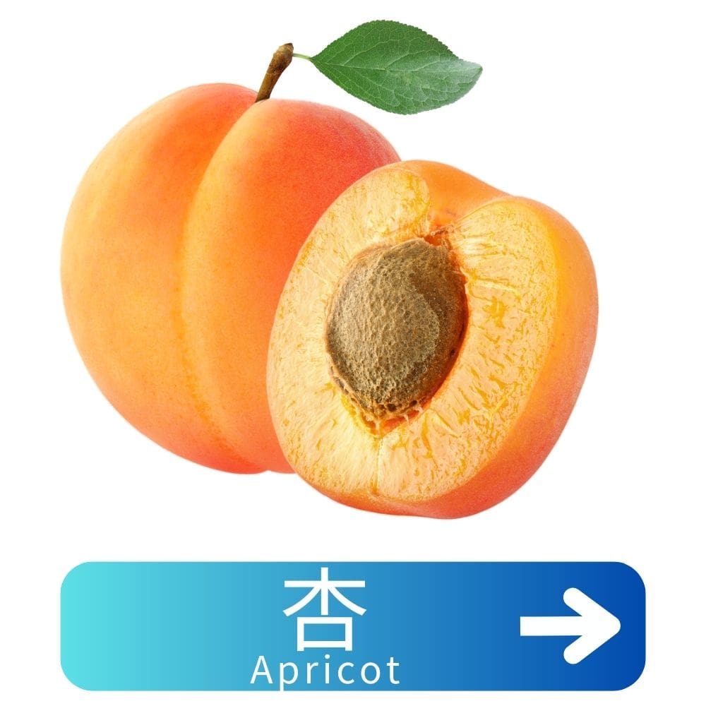杏树Apricot