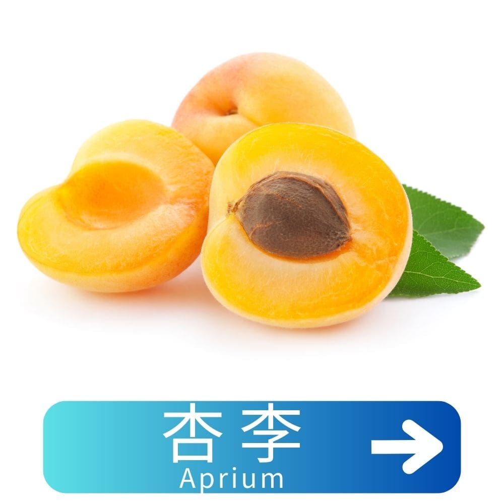 杏李 Aprium