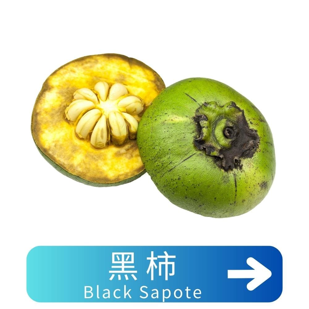 黑柿Black-Sapote