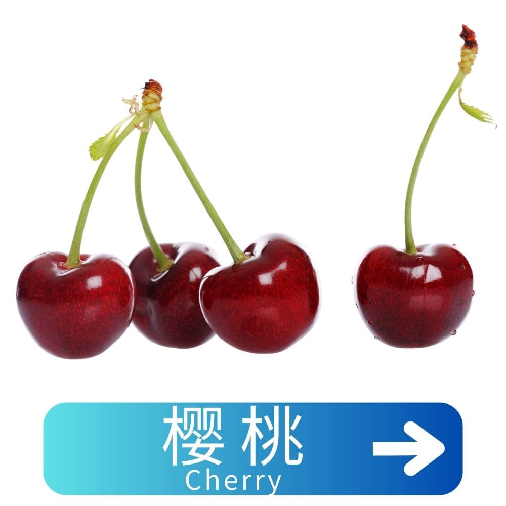 樱桃 Cherry