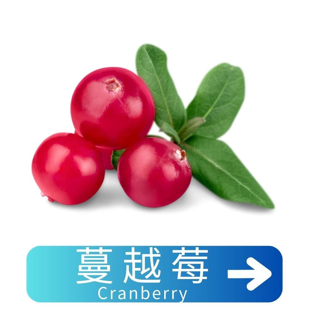 蔓越莓Cranberry