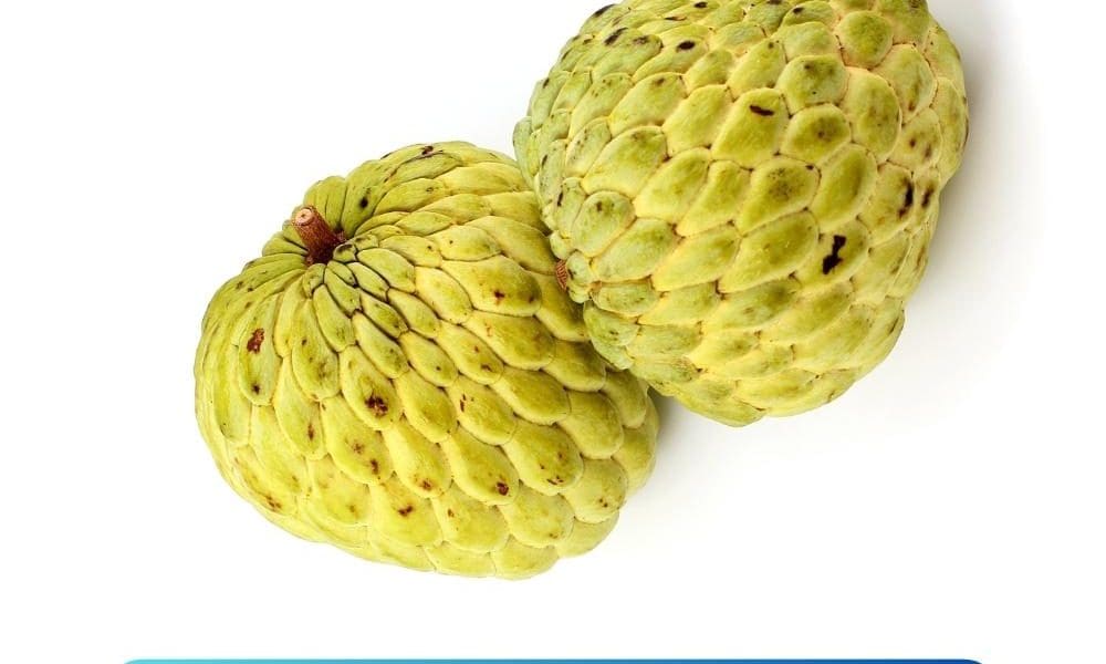 番荔枝树-牛心果