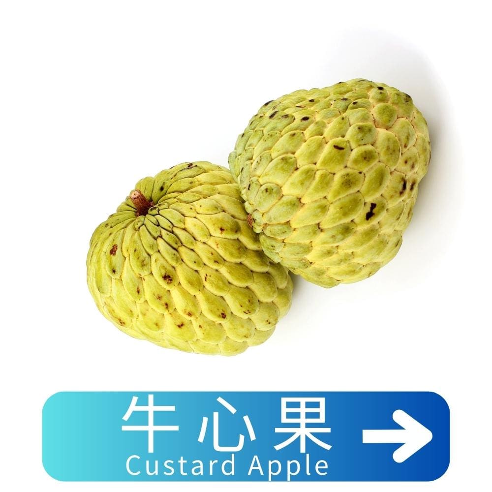 牛心果Custard-Apple