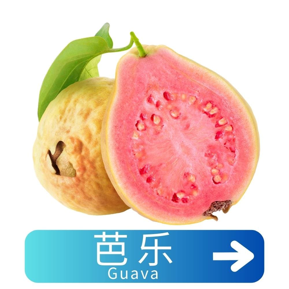芭乐Guava