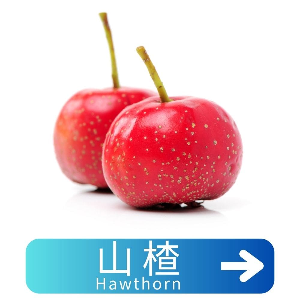 山楂Hawthorn