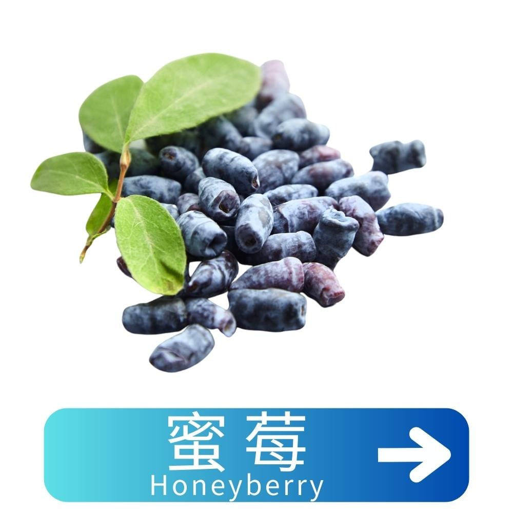 蜜莓Honeyberry