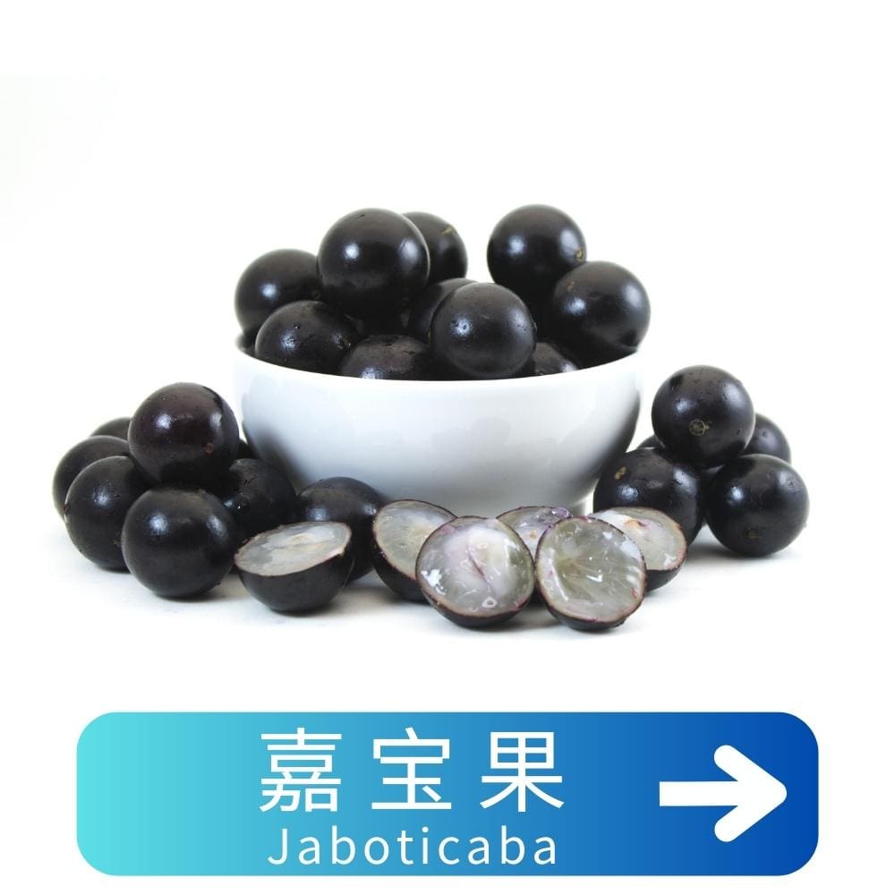 嘉宝果 Jaboticaba