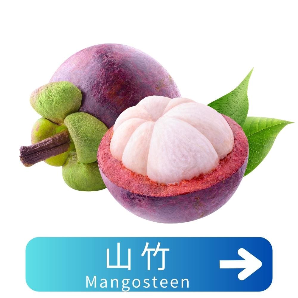 山竹Mangosteen