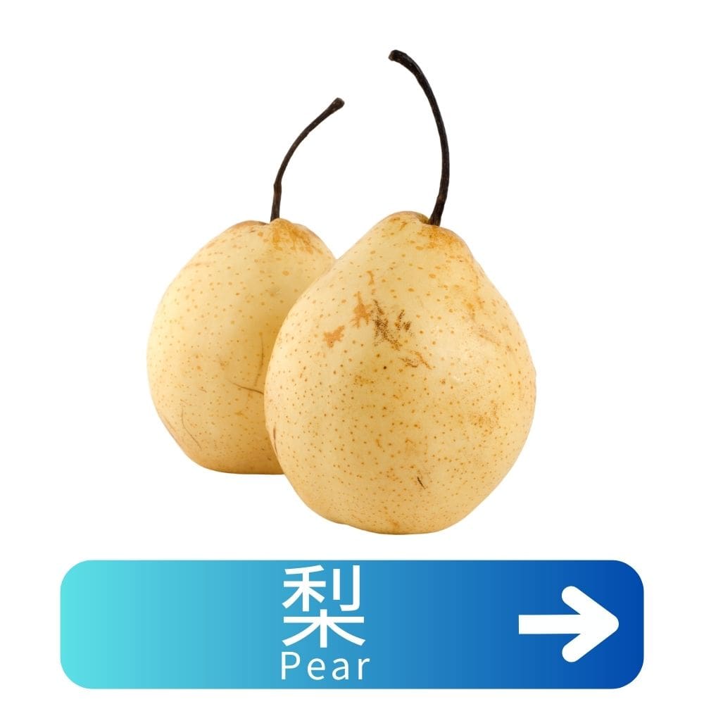 梨 Pear