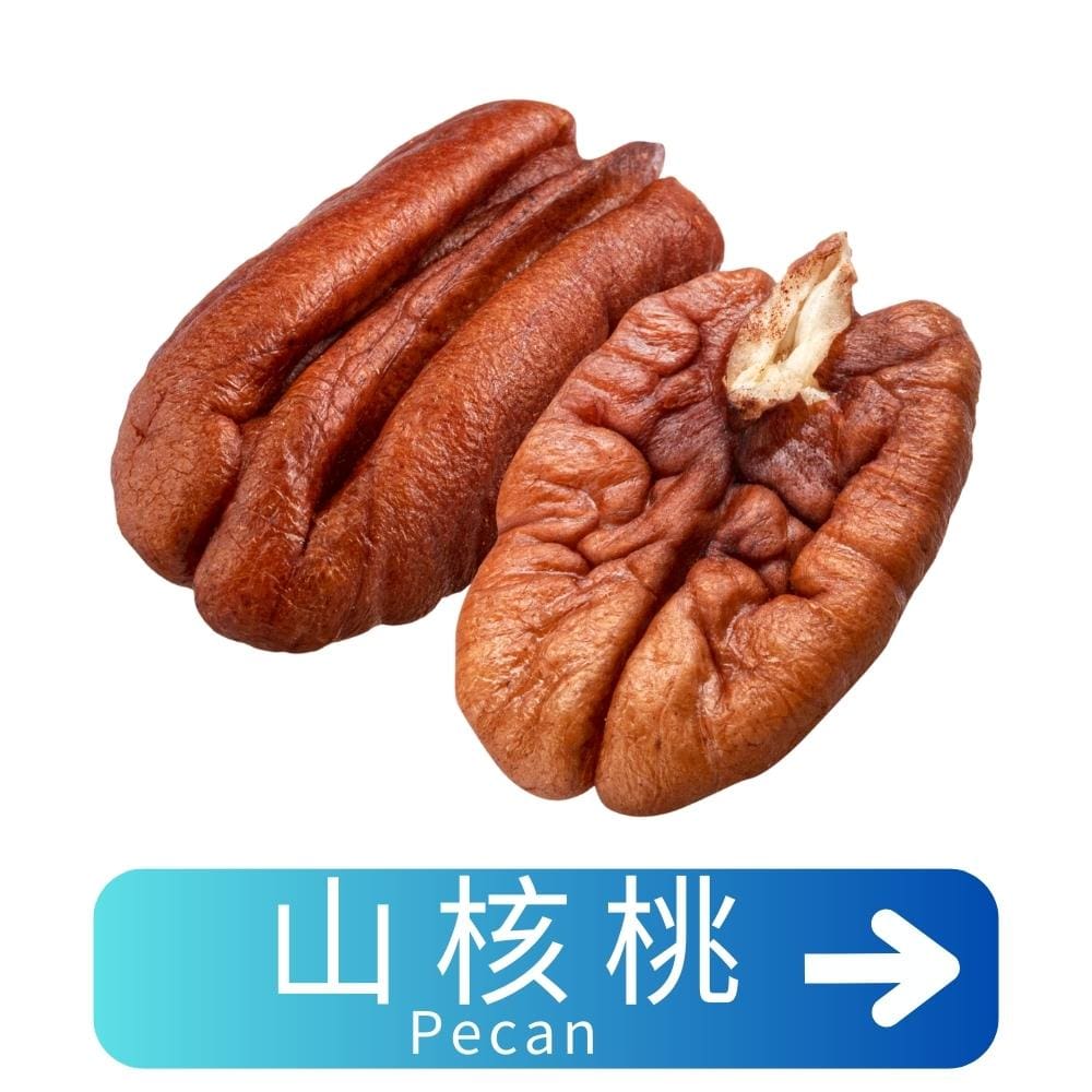 山核桃Pecan