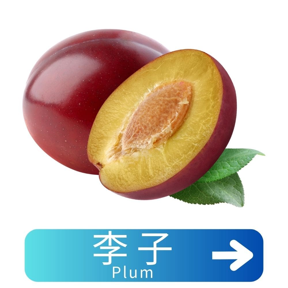 李子 Plum