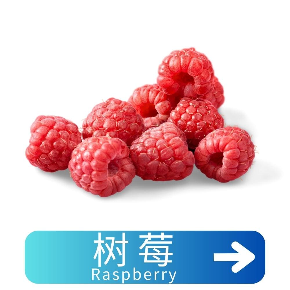 树莓Raspberry