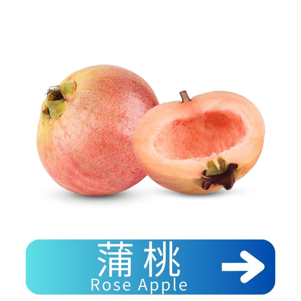 蒲桃Rose-Apple