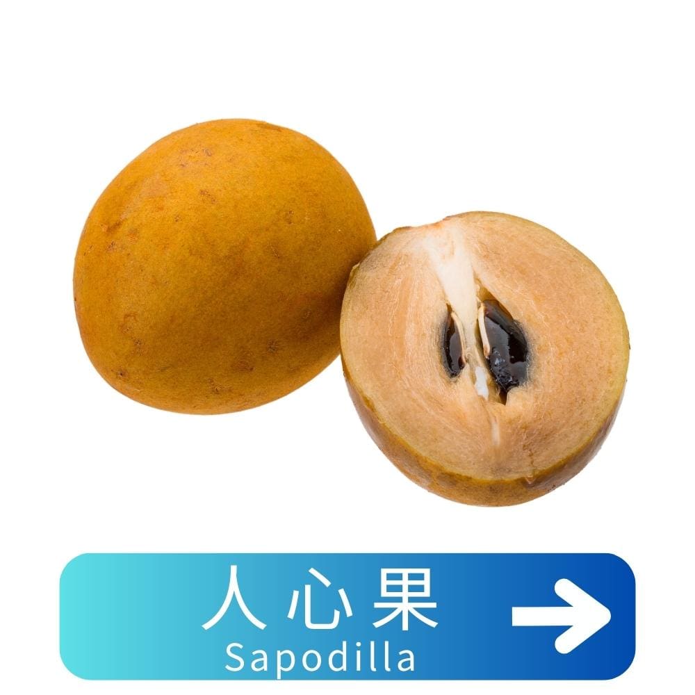 人心果Sapodilla