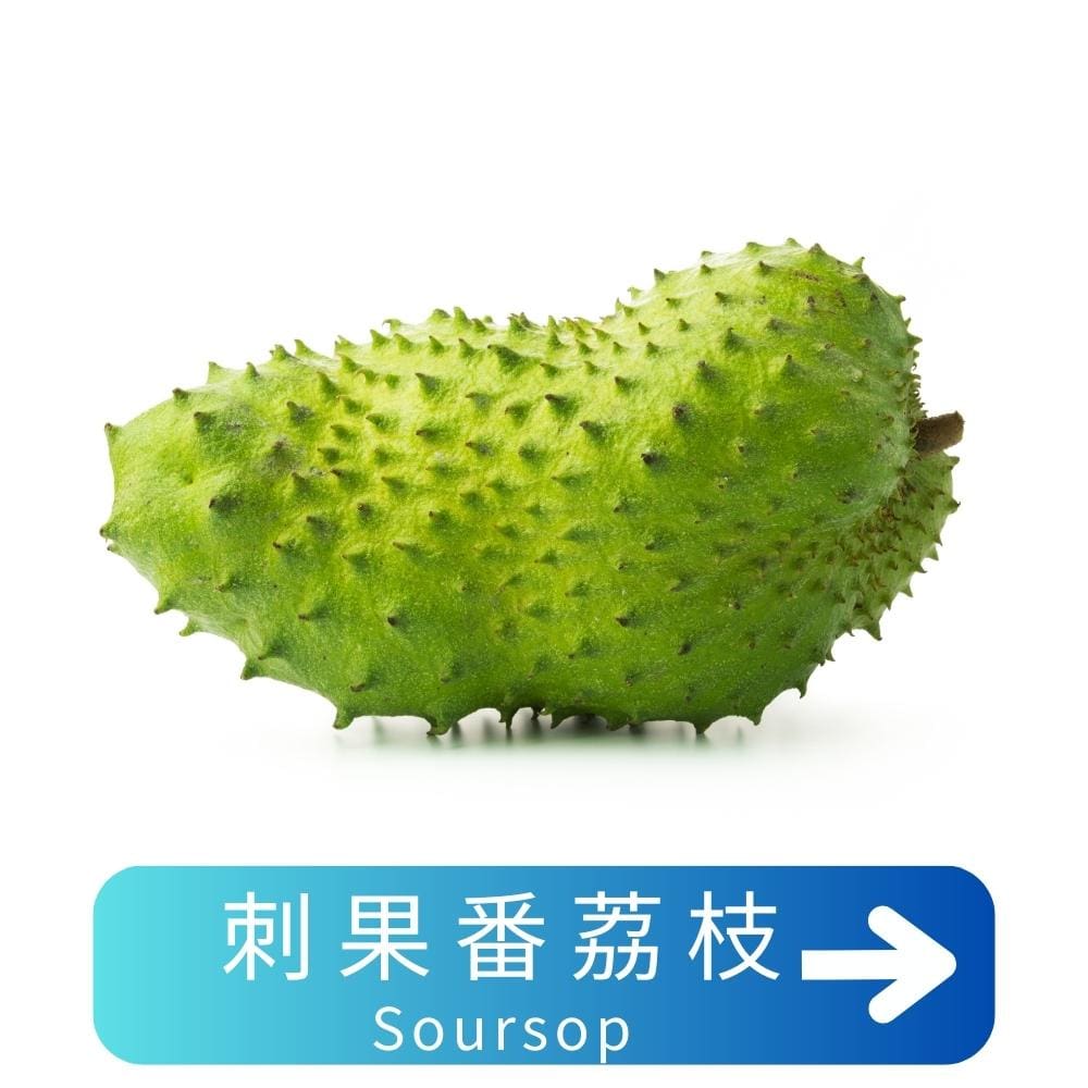 刺果番荔枝Soursop