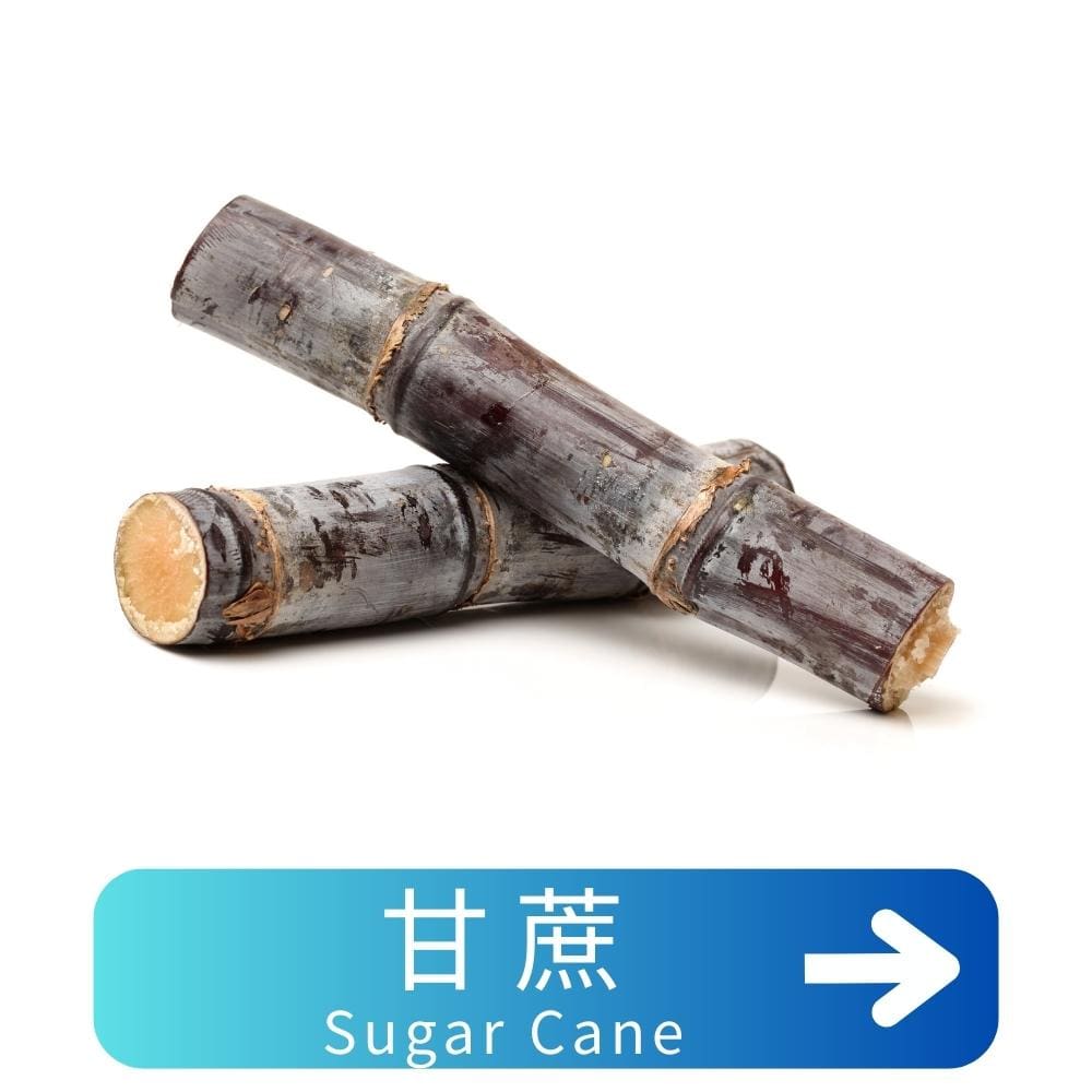 甘蔗Sugar-Cane