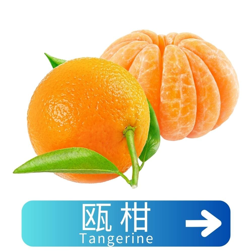 瓯柑Tangerine