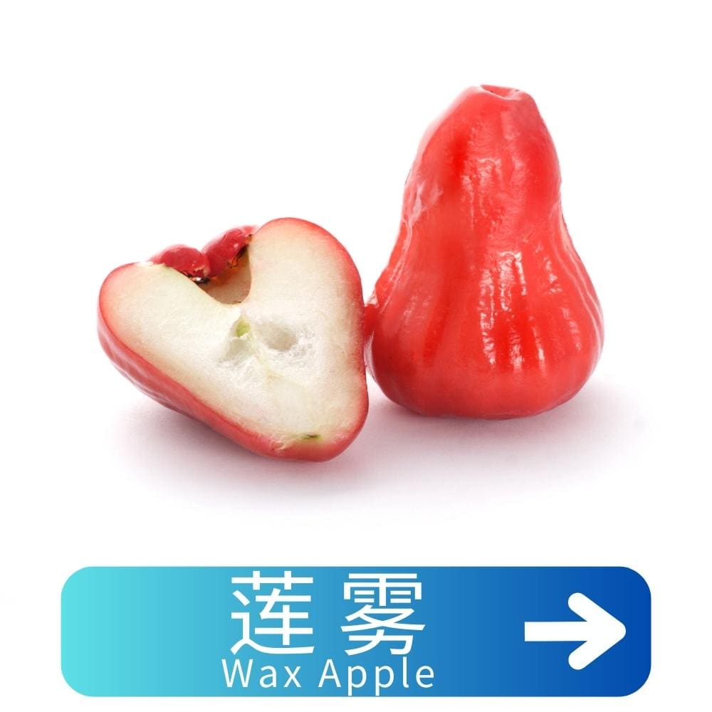 莲雾Wax-Apple