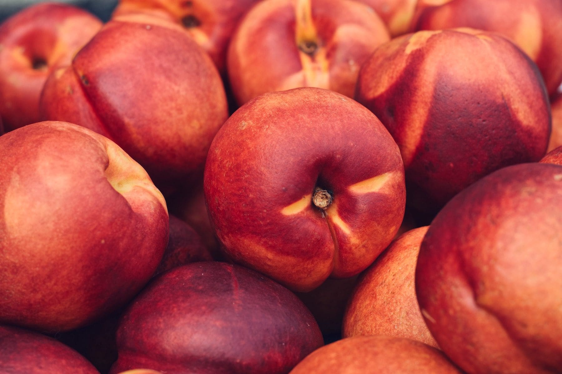 油桃树品种目录