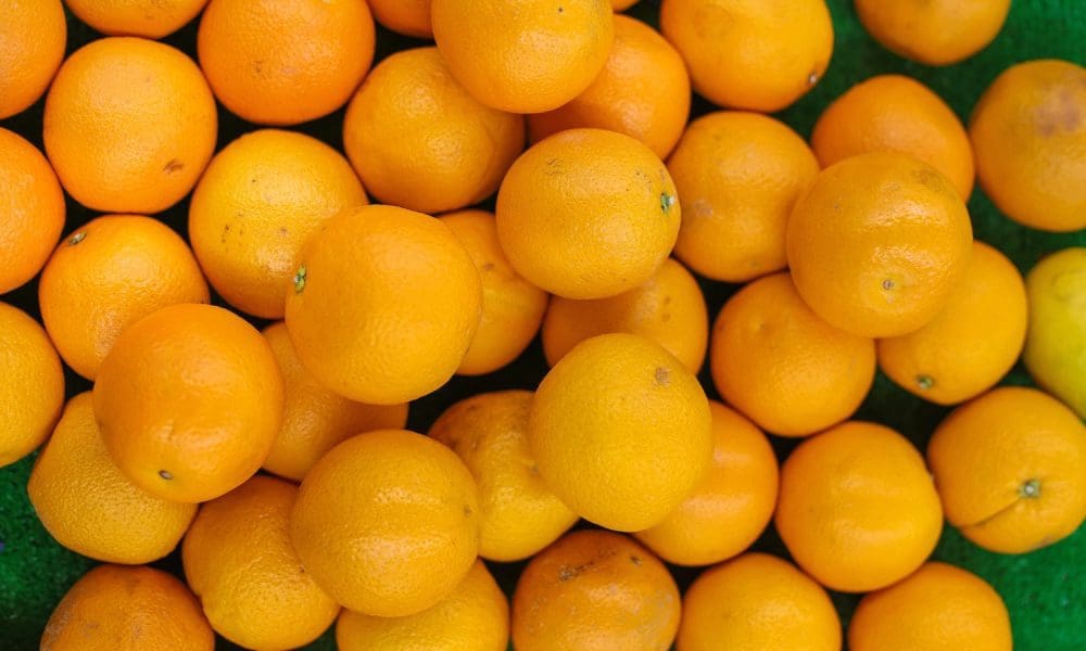 橙子品种目录