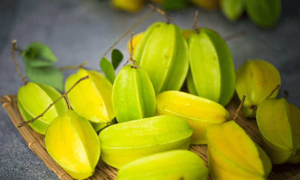 杨桃树品种目录