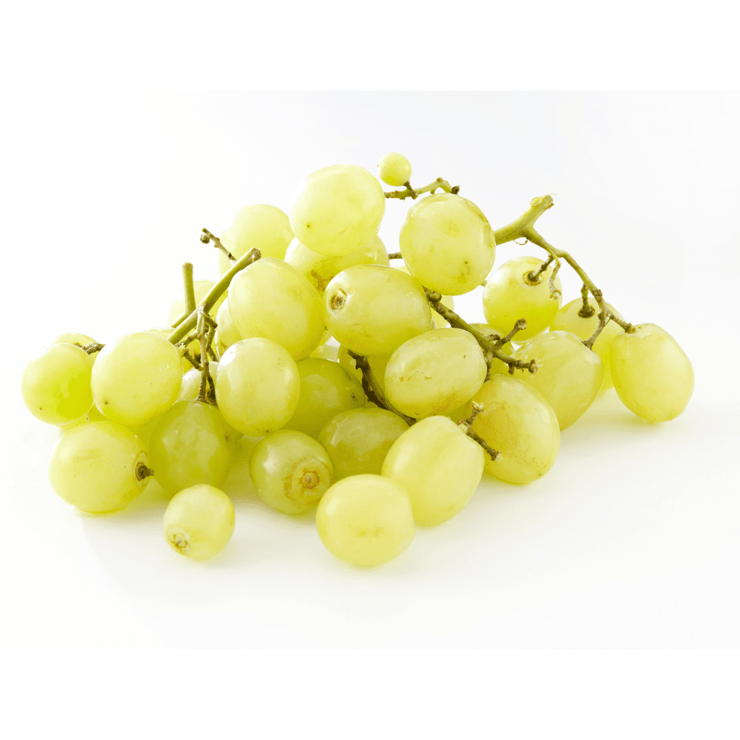 葡萄树-汤普森绿葡萄