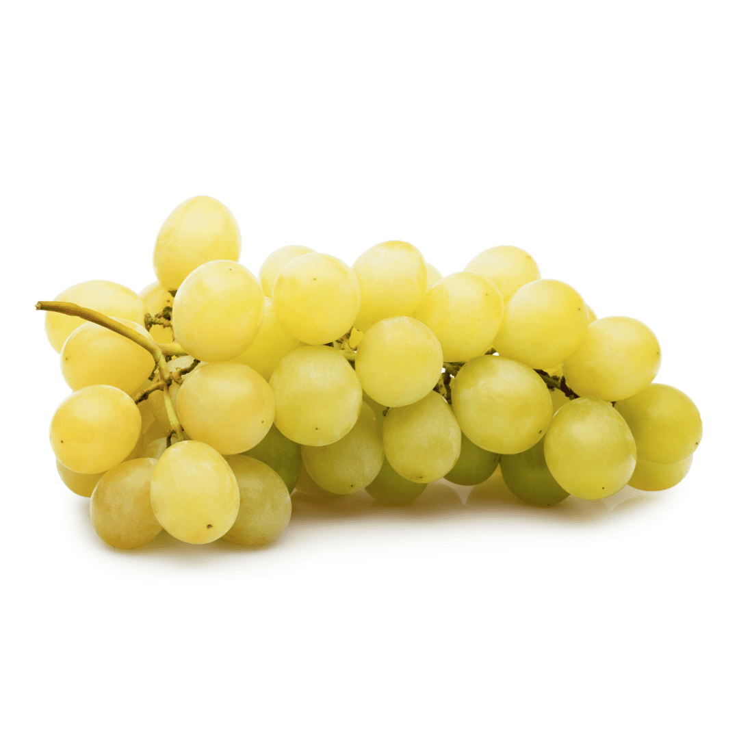 葡萄树-绿珍珠葡萄