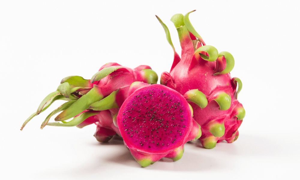 火龙果-秃鹰红肉