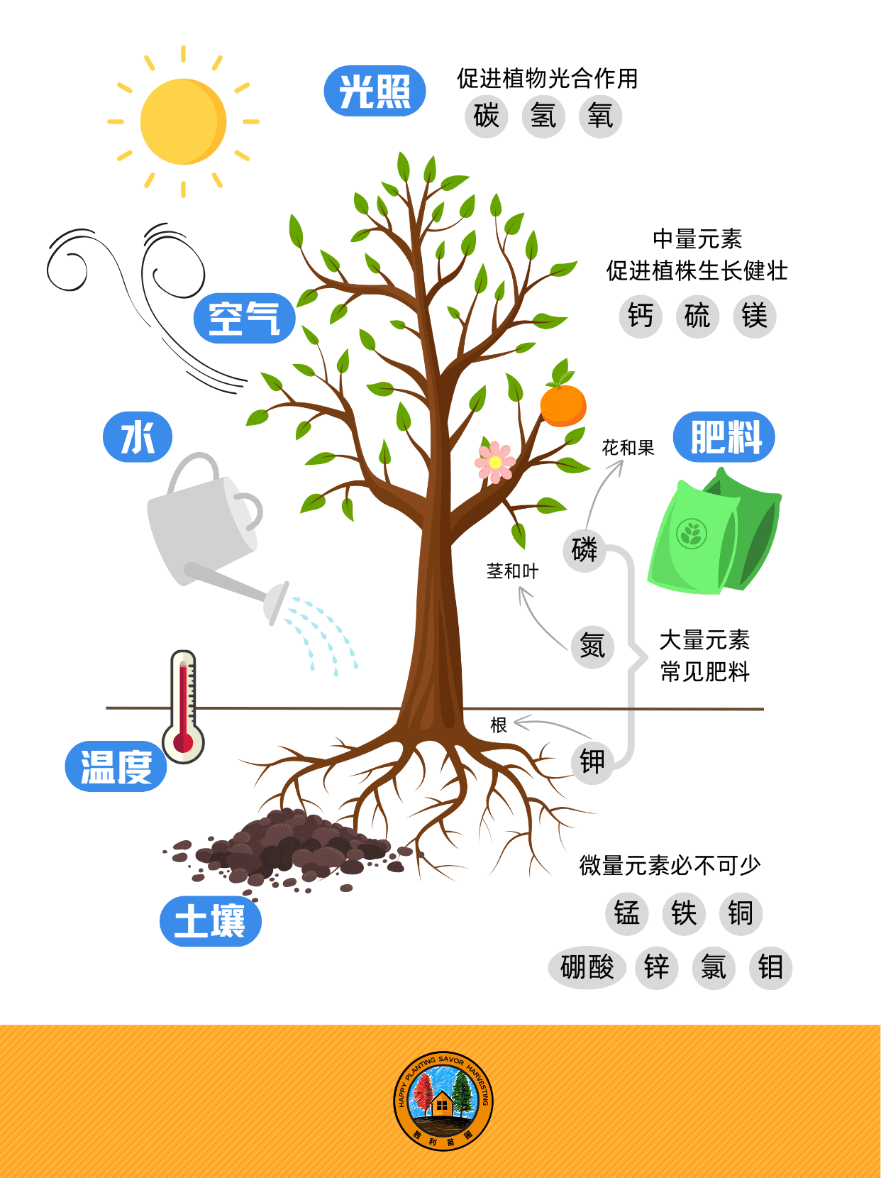 新手花友指南：肥料基础知识