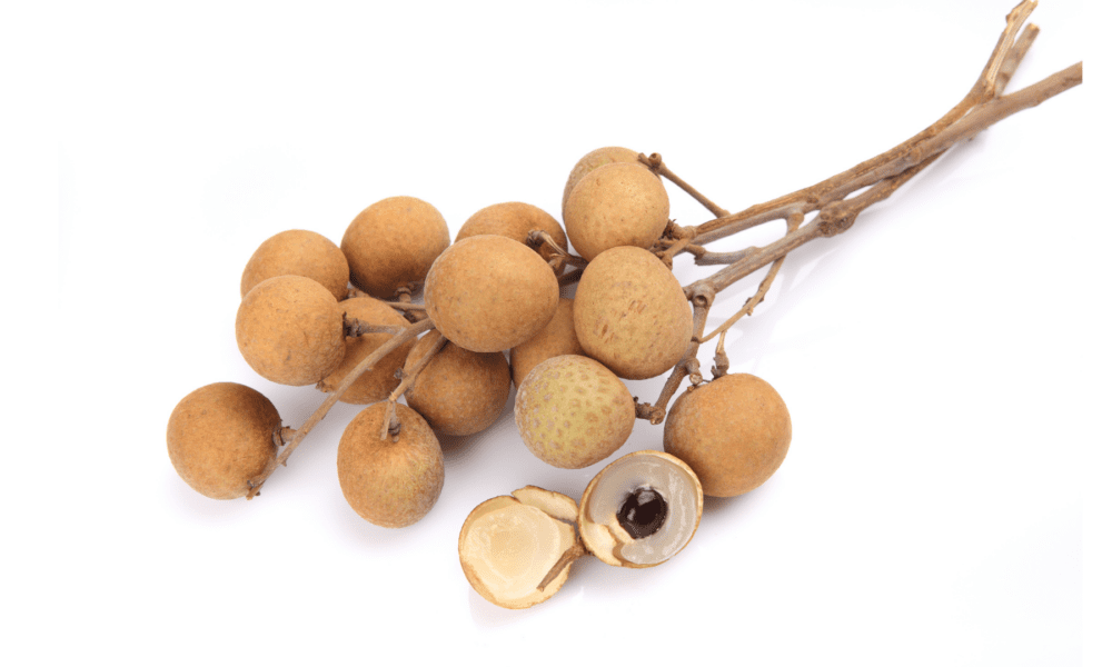 龙眼的养护及修剪要点