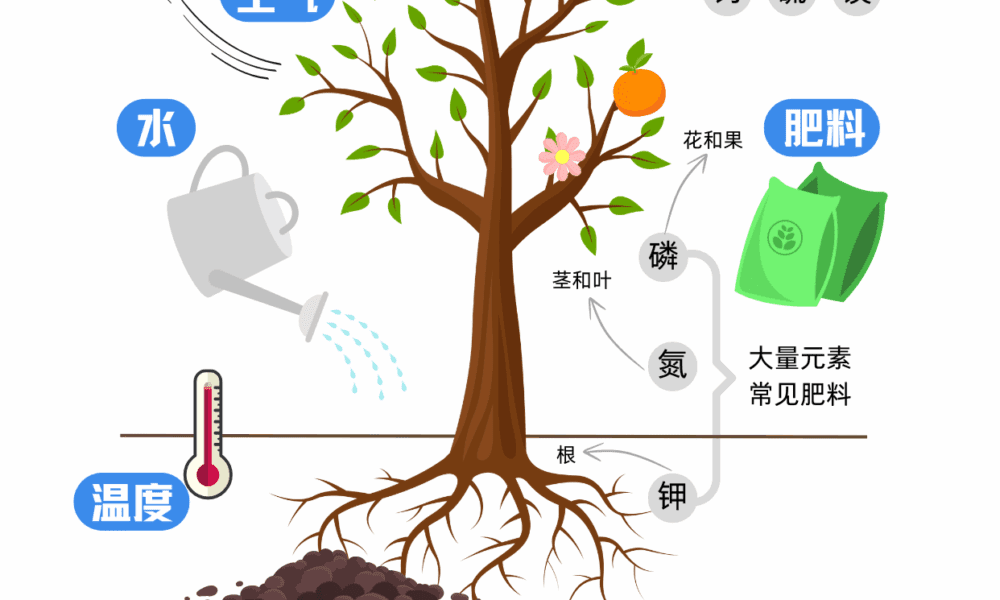 种植新手必读，各种肥料如何使用