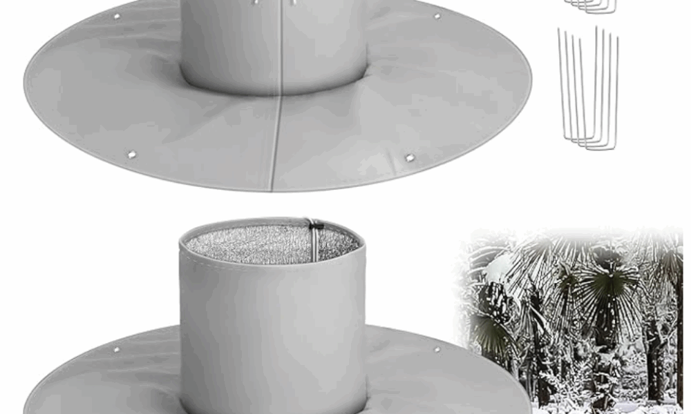 掌握这七个要点，白兰花养得又美又香🌼