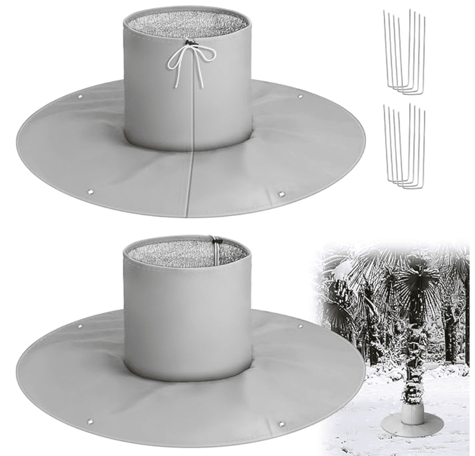 植物🌳冬季❄️要如何保暖呢？🧣