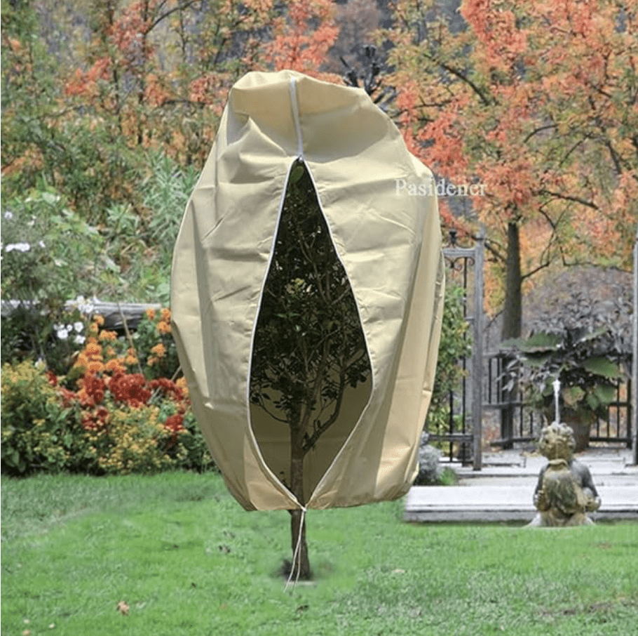 植物🌳冬季❄️要如何保暖呢？🧣