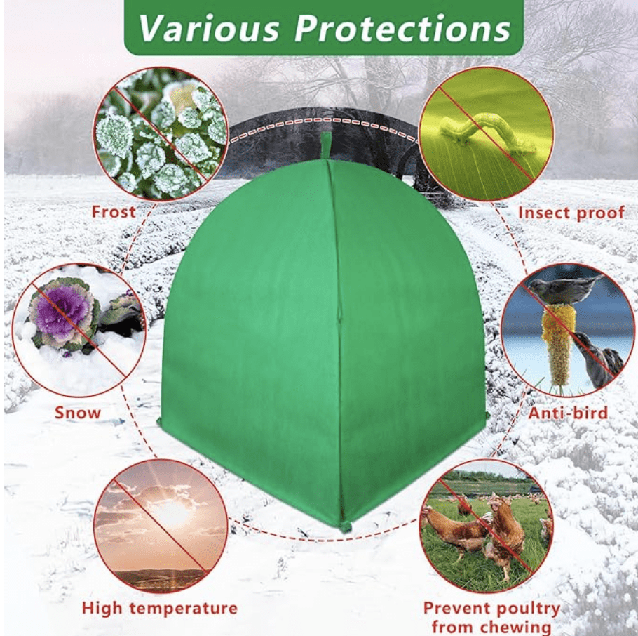 植物🌳冬季❄️要如何保暖呢？🧣