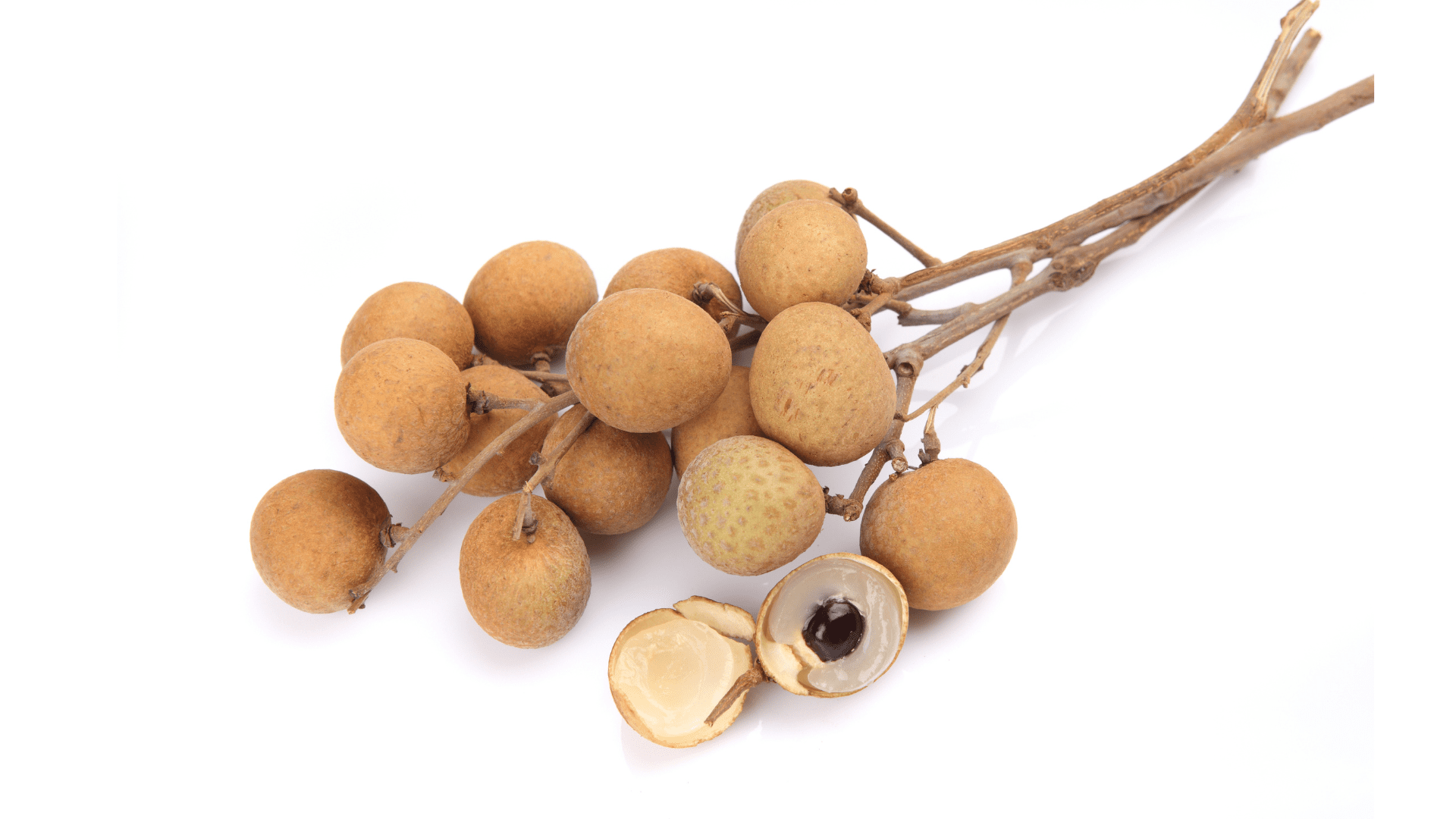 龙眼的养护及修剪要点‼️