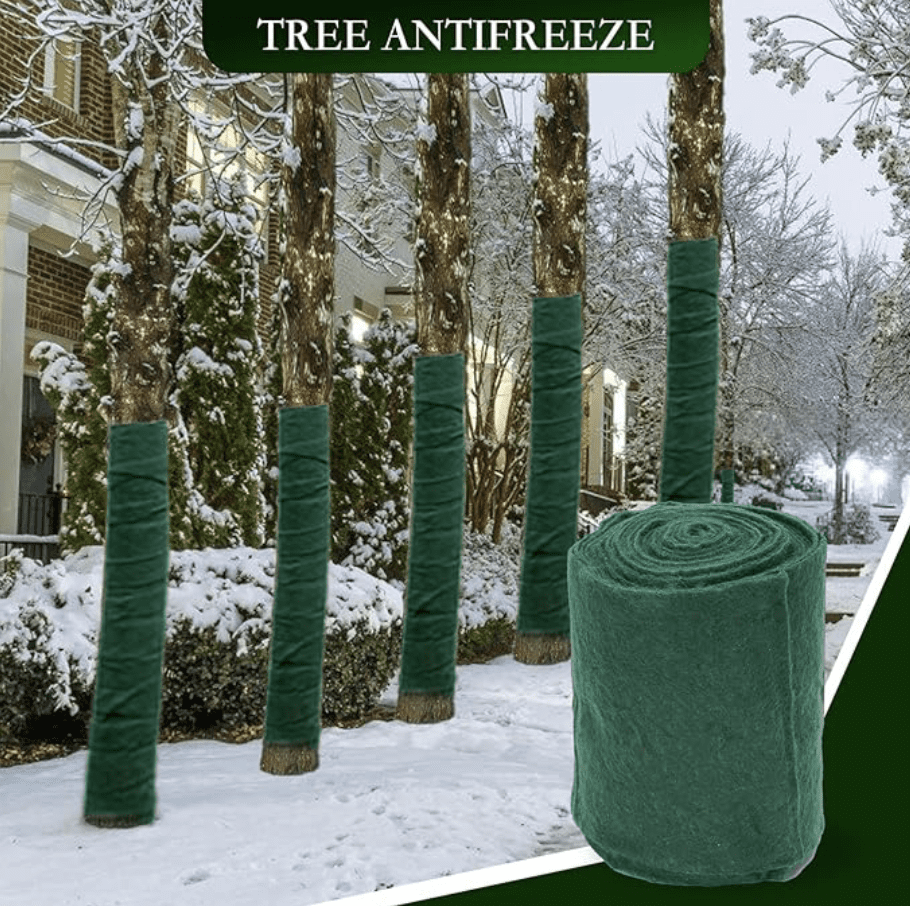 植物🌳冬季❄️要如何保暖呢？🧣